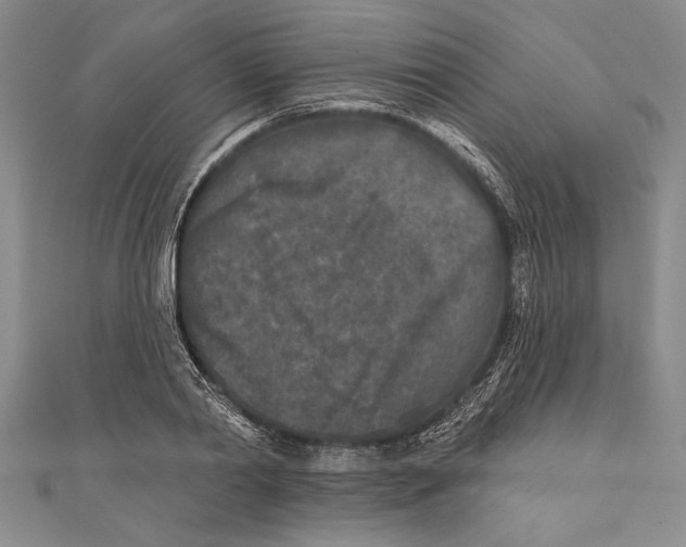 X0000111000790200907101451