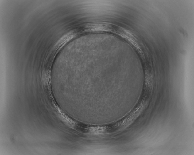 X0000111000793200907101451