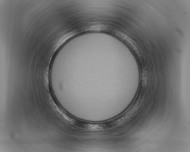 X0000111000794200907101451