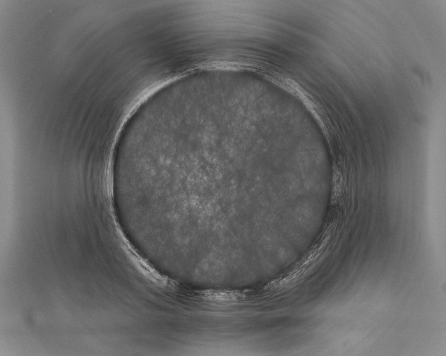 X0000111000795200907101451