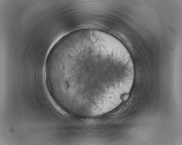 X0000111000796200907101451