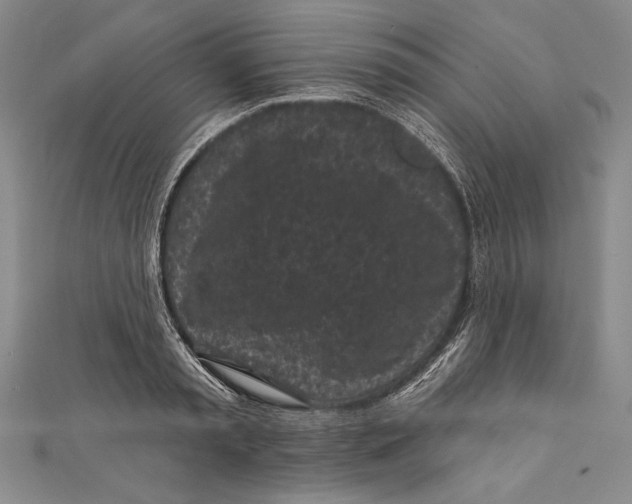 X0000111000797200907101451