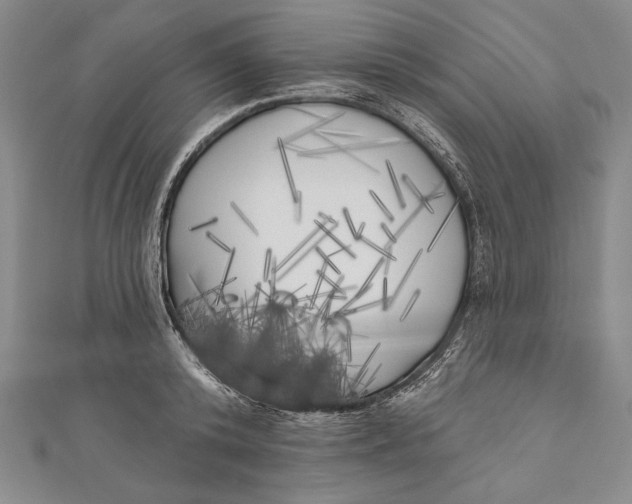 X0000111000800200907101451