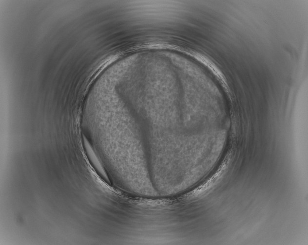 X0000111000801200907101451