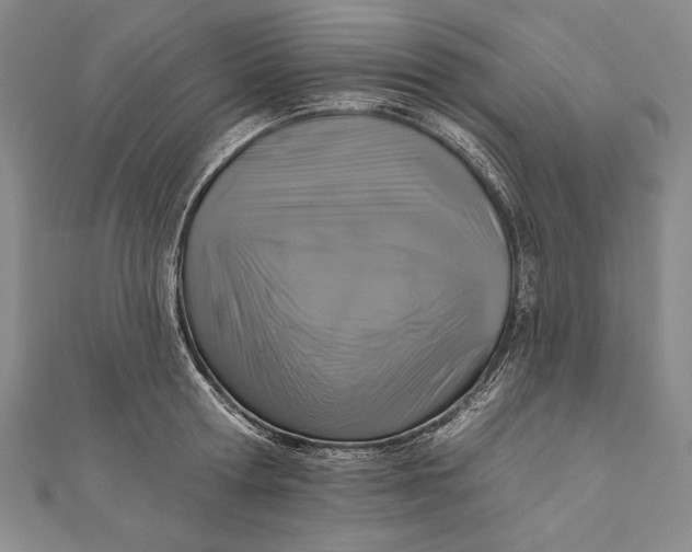 X0000111000802200907101451