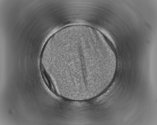 X0000111000805200907101451