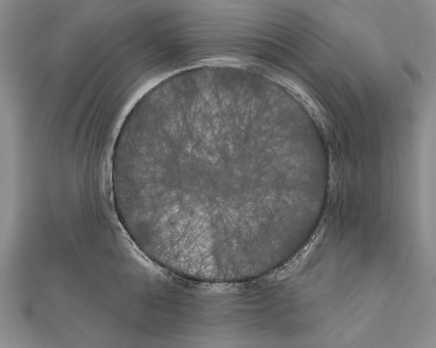 X0000111000808200907101451