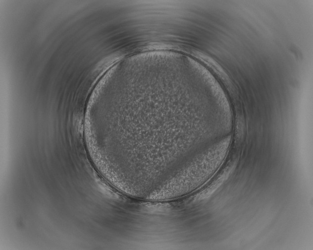 X0000111000809200907101451