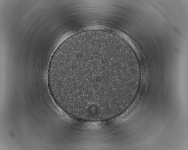 X0000111000810200907101451