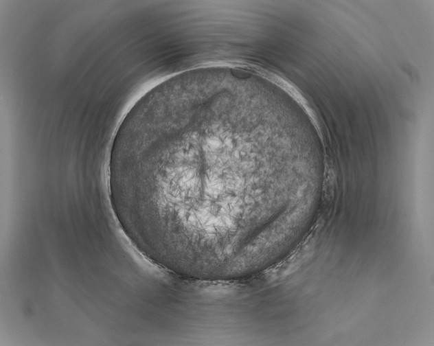 X0000111000811200907101451