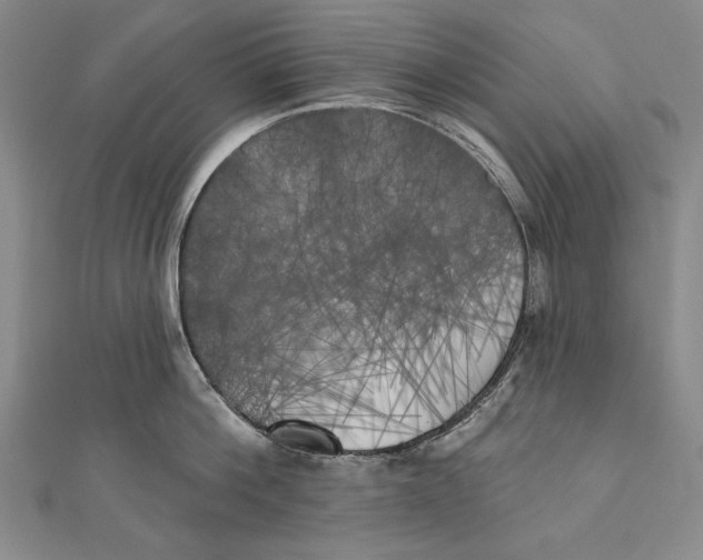 X0000111000812200907101451