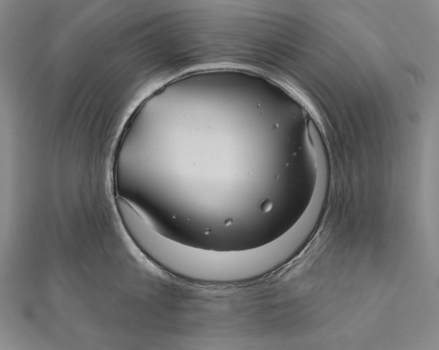 X0000111000813200907101451