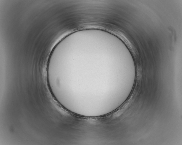 X0000111000814200907101451