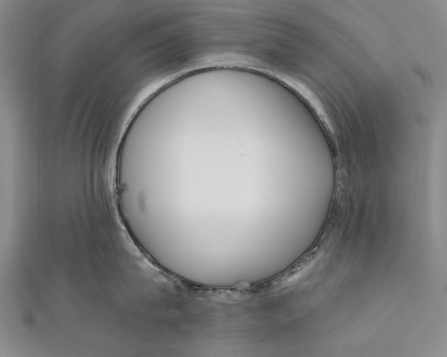 X0000111000815200907101451