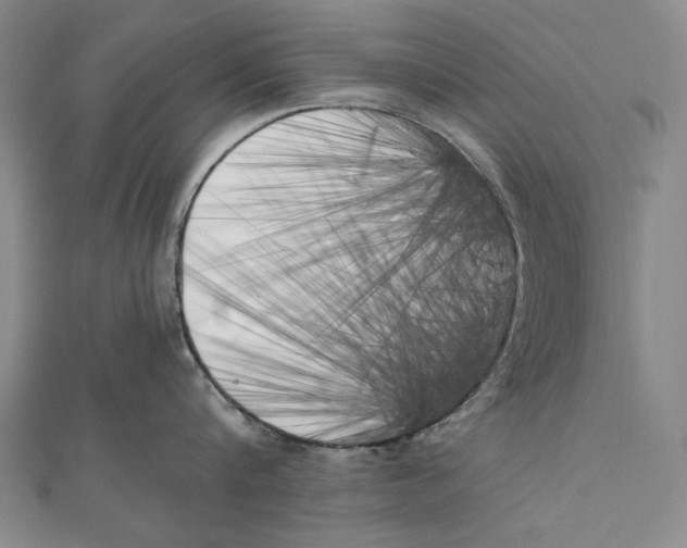 X0000111000816200907101451