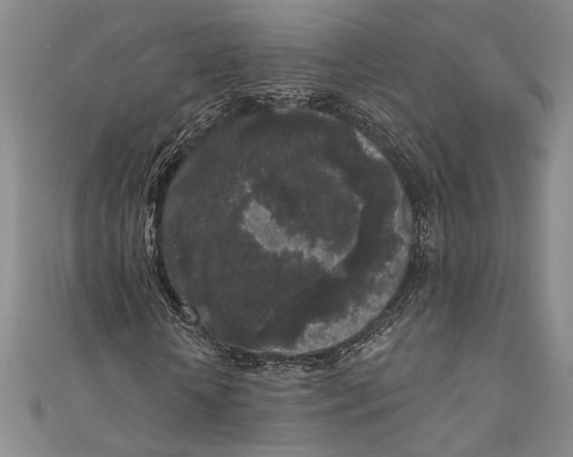 X0000111000818200907101450