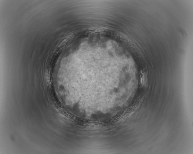 X0000111000819200907101450