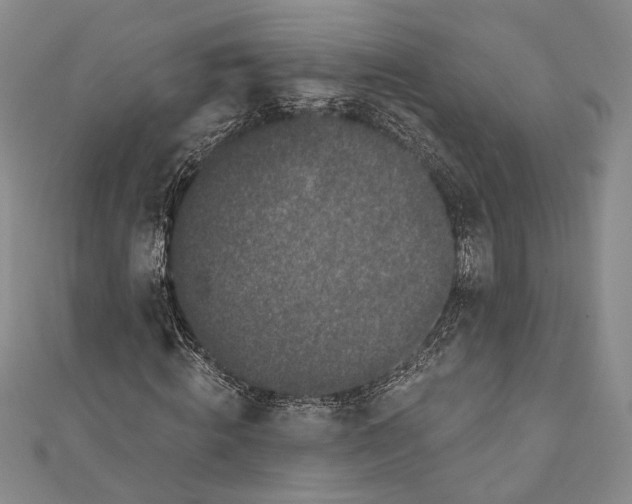 X0000111000820200907101450