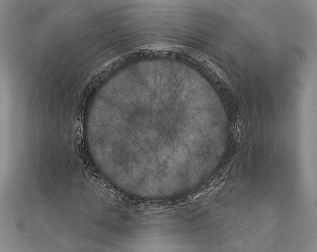 X0000111000821200907101450