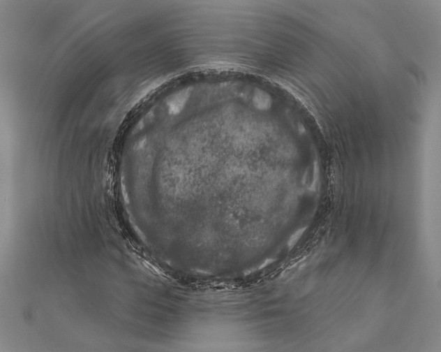 X0000111000823200907101450