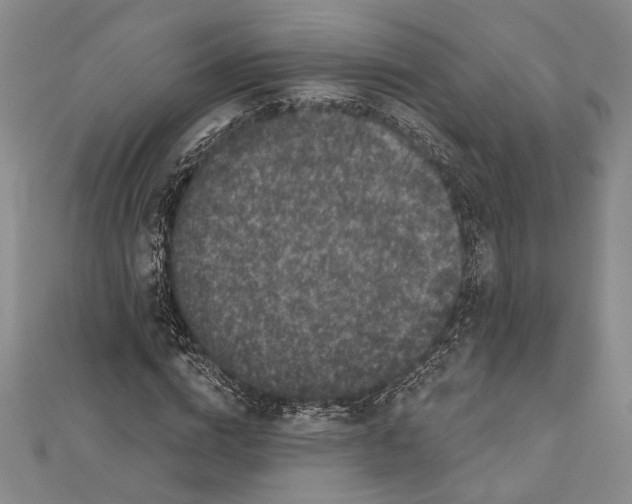 X0000111000824200907101450