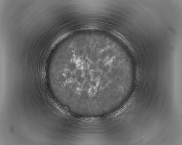 X0000111000826200907101450