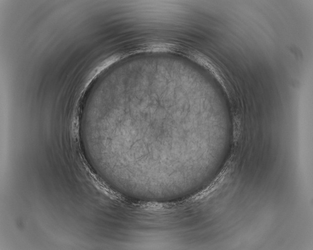 X0000111000827200907101450