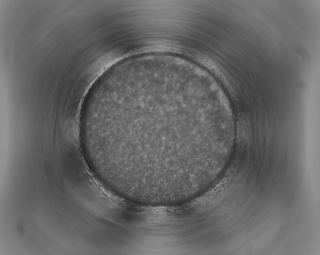 X0000111000828200907101450