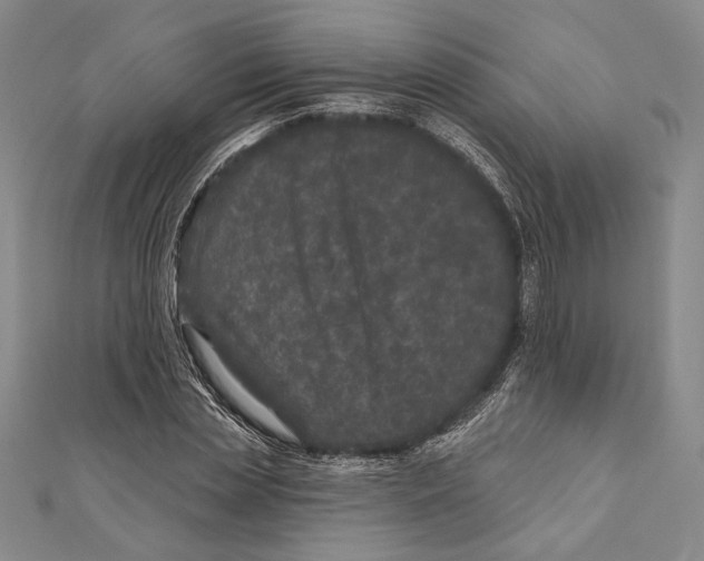 X0000111000829200907101450