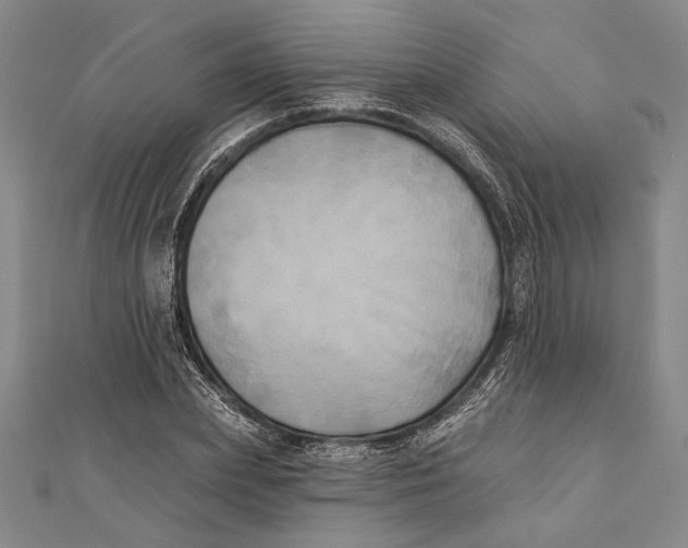 X0000111000831200907101450