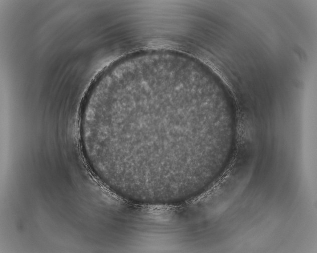 X0000111000832200907101450