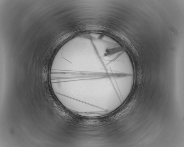 X0000111000833200907101450