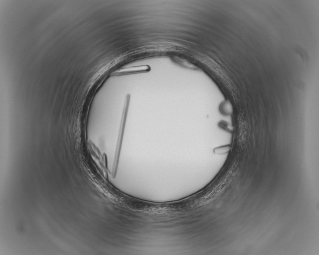 X0000111000834200907101450