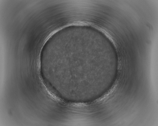 X0000111000837200907101450