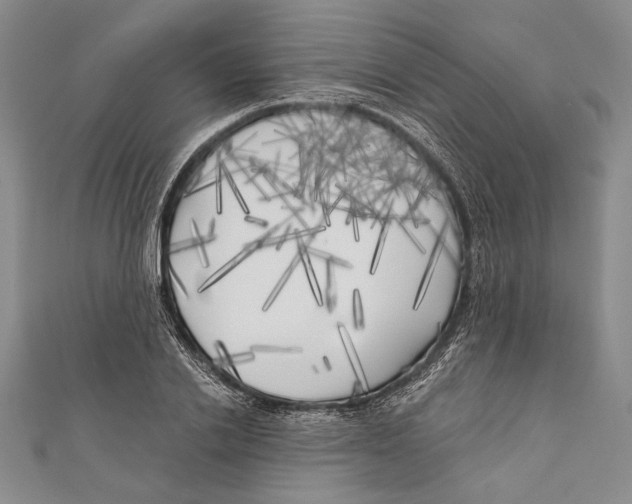 X0000111000838200907101450