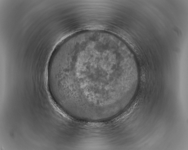 X0000111000840200907101450