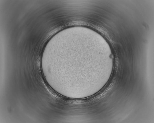 X0000111000841200907101450