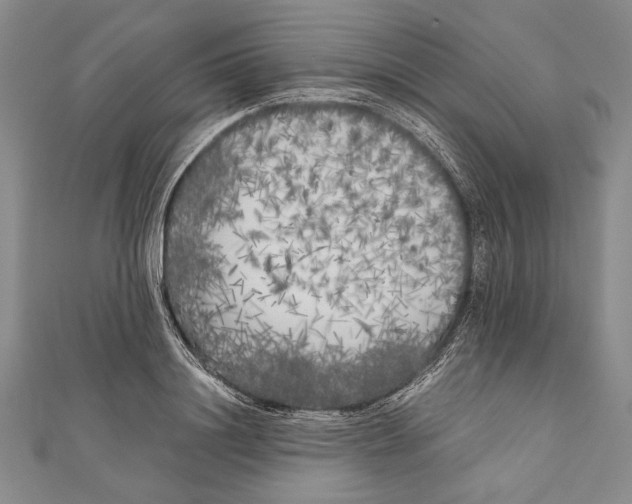 X0000111000844200907101450