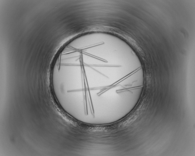 X0000111000846200907101450