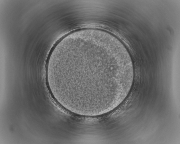 X0000111000848200907101450