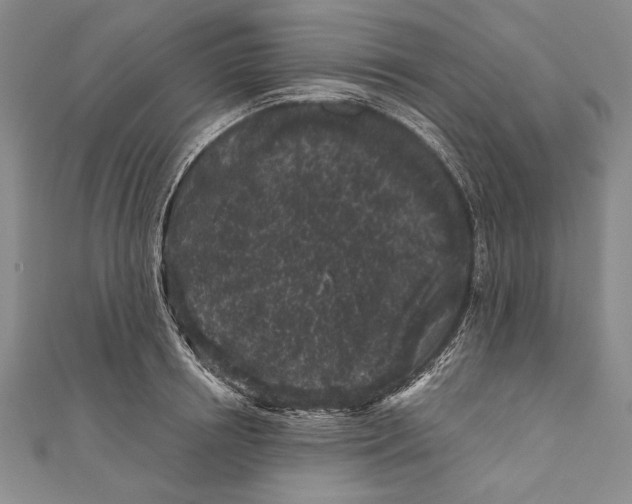 X0000111000850200907101450