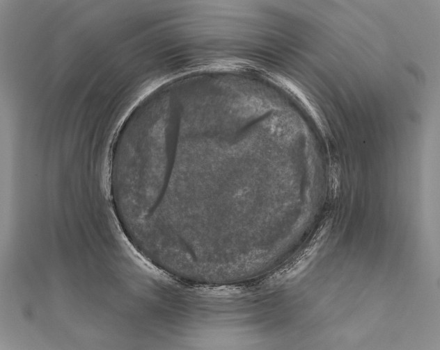 X0000111000851200907101450