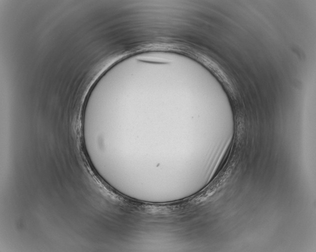 X0000111000852200907101450