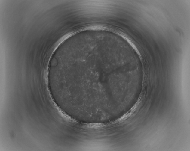 X0000111000853200907101450