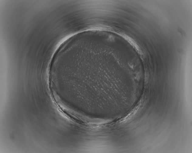 X0000111000854200907101450