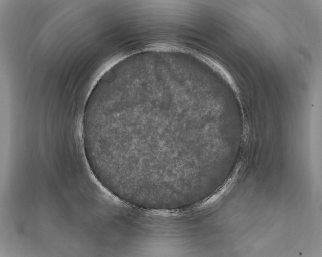 X0000111000855200907101450