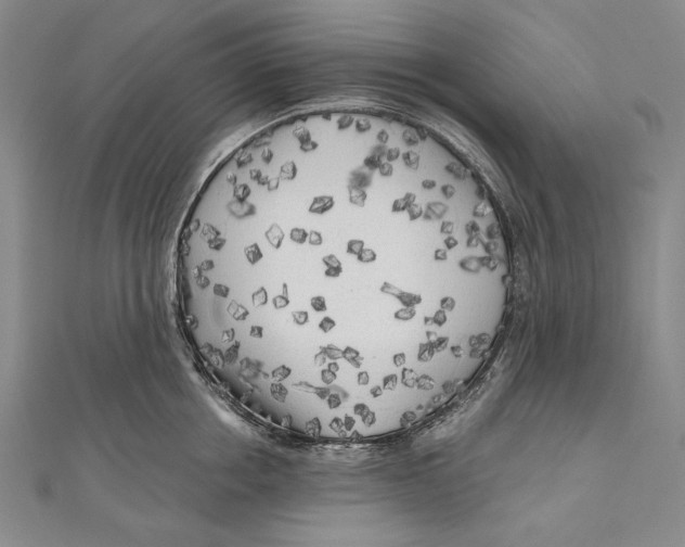 X0000111000858200907101451