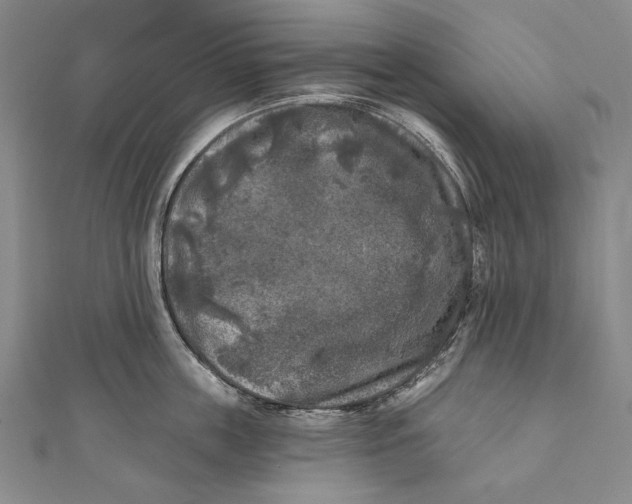 X0000111000859200907101451