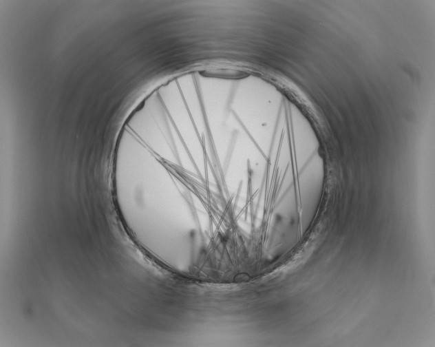 X0000111000860200907101451