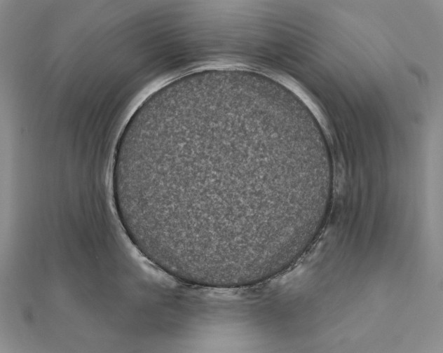 X0000111000861200907101451